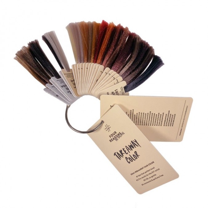 FOUR REASONS Original Color Chart TakeAway