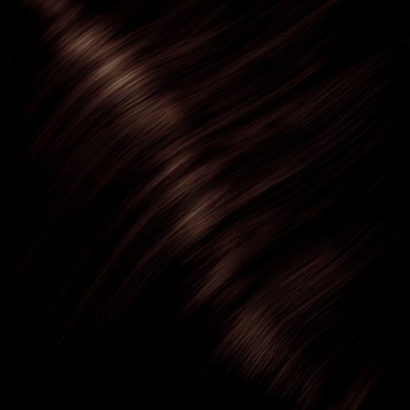 FOUR REASONS Optima Hair Color 5BM 100 ml